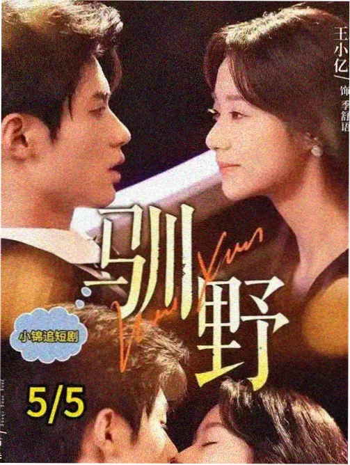 肥肉小说作者访谈录封面